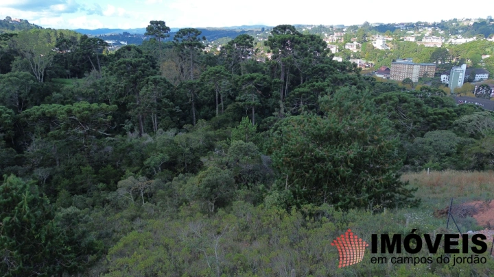 Imagem da galeria de fotos: Terreno/Lote Residencial para Venda - Campos do Jordão, Atalaia - REF: TE0154