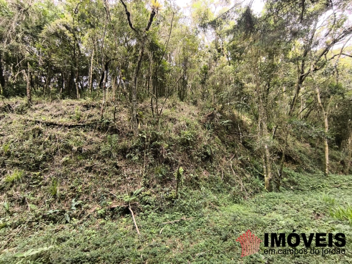 Imagem da galeria de fotos: Terreno/Lote Residencial para Venda - Campos do Jordão, Recanto das Araucárias - REF: TE0155