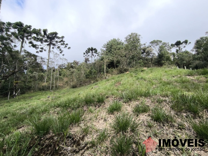 Imagem da galeria de fotos: Terreno/Lote Residencial para Venda - Campos do Jordão, Recanto das Araucárias - REF: TE0156