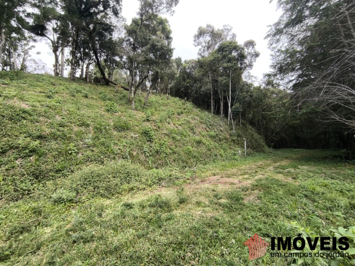 Imagem da galeria de fotos: Terreno/Lote Residencial para Venda - Campos do Jordão, Recanto das Araucárias - REF: TE0156