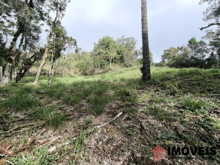 Imagem da galeria de fotos: Terreno/Lote Residencial para Venda - Campos do Jordão, Recanto das Araucárias - REF: TE0156