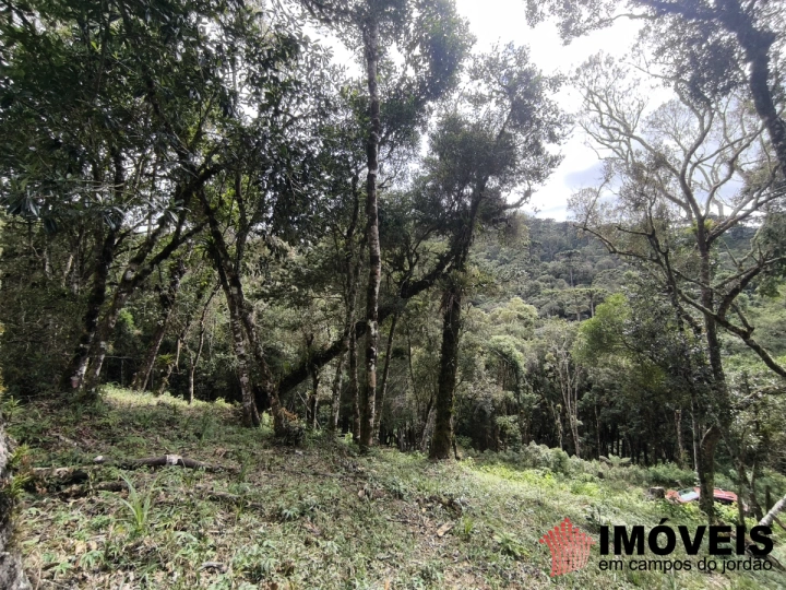 Imagem da galeria de fotos: Terreno/Lote Residencial para Venda - Campos do Jordão, Recanto das Araucárias - REF: TE0156