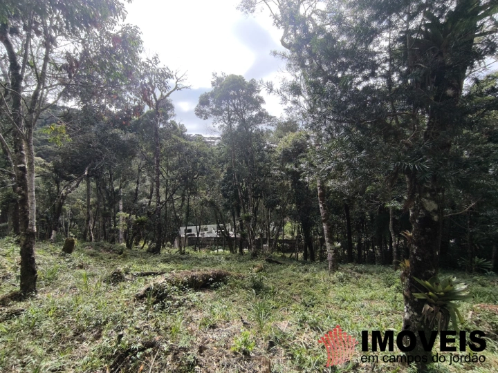 Imagem da galeria de fotos: Terreno/Lote Residencial para Venda - Campos do Jordão, Recanto das Araucárias - REF: TE0157