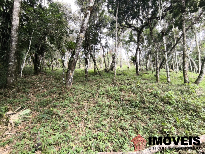 Imagem da galeria de fotos: Terreno/Lote Residencial para Venda - Campos do Jordão, Recanto das Araucárias - REF: TE0157