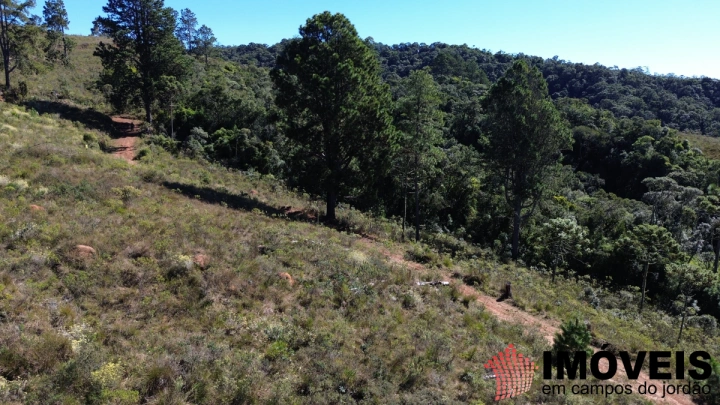 Terreno/Lote Residencial para Venda - Campos do Jordão, Parque Ferradura - REF: TE0167 Imagem da galeria de fotos: Terreno/Lote Residencial para Venda - Campos do Jordão, Parque Ferradura - REF: TE0167