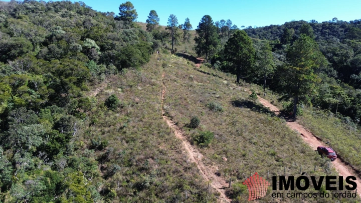 Terreno/Lote Residencial para Venda - Campos do Jordão, Parque Ferradura - REF: TE0167 Imagem da galeria de fotos: Terreno/Lote Residencial para Venda - Campos do Jordão, Parque Ferradura - REF: TE0167