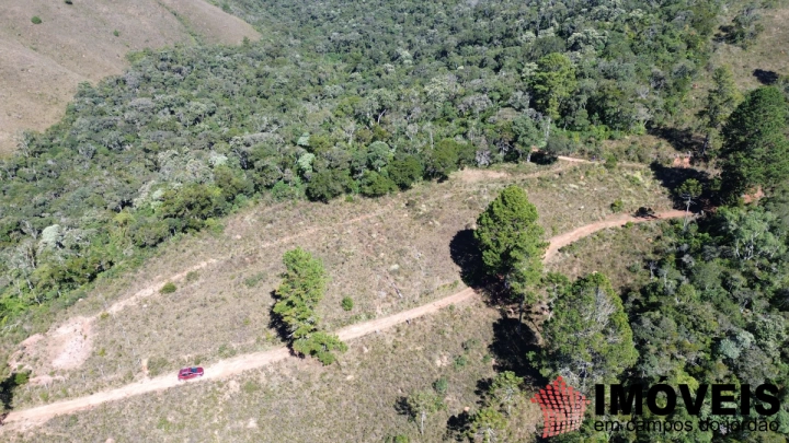 Terreno/Lote Residencial para Venda - Campos do Jordão, Parque Ferradura - REF: TE0167 Imagem da galeria de fotos: Terreno/Lote Residencial para Venda - Campos do Jordão, Parque Ferradura - REF: TE0167