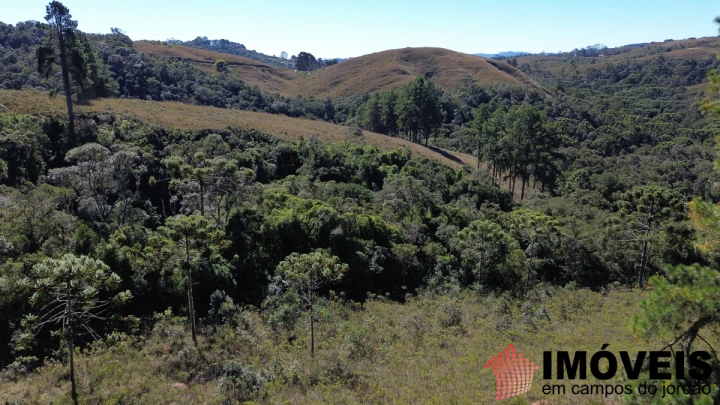 Terreno/Lote Residencial para Venda - Campos do Jordão, Parque Ferradura - REF: TE0167 Imagem da galeria de fotos: Terreno/Lote Residencial para Venda - Campos do Jordão, Parque Ferradura - REF: TE0167