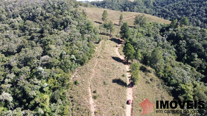 Terreno/Lote Residencial para Venda - Campos do Jordão, Parque Ferradura - REF: TE0167 Imagem da galeria de fotos: Terreno/Lote Residencial para Venda - Campos do Jordão, Parque Ferradura - REF: TE0167