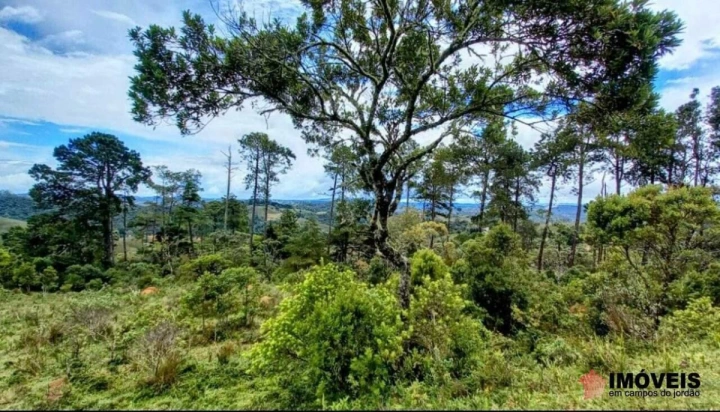 Área para Incorporação Comercial Industrial Corporativo para Venda - Campos do Jordão, Parque Ferradura - REF: AR0007 Imagem da galeria de fotos: Área para Incorporação Comercial Industrial Corporativo para Venda - Campos do Jordão, Parque Ferradura - REF: AR0007