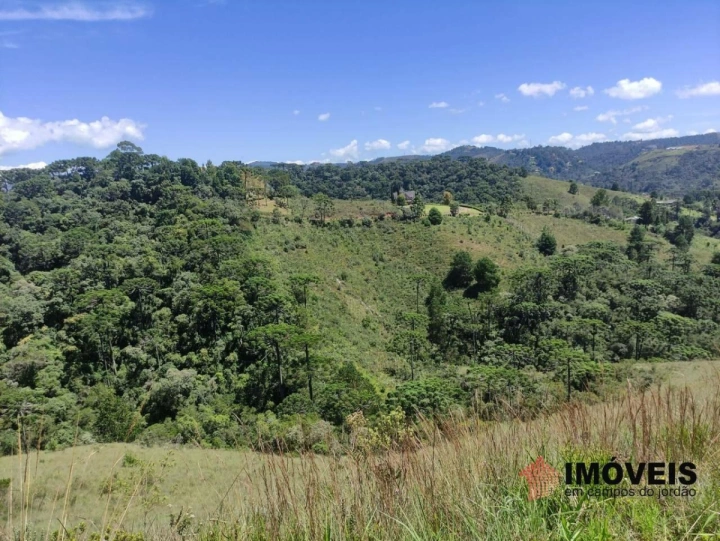 Terreno/Lote Residencial para Venda - Campos do Jordão, Descansópolis - REF: TE0004 Imagem da galeria de fotos: Terreno/Lote Residencial para Venda - Campos do Jordão, Descansópolis - REF: TE0004