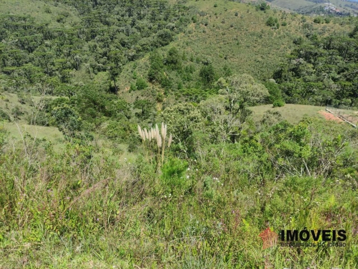 Terreno/Lote Residencial para Venda - Campos do Jordão, Descansópolis - REF: TE0014 Imagem da galeria de fotos: Terreno/Lote Residencial para Venda - Campos do Jordão, Descansópolis - REF: TE0014