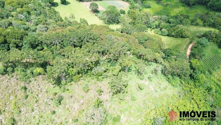 Imagem da galeria de fotos: Terreno/Lote Residencial para Venda - Campos do Jordão, Alpes de Campos do Jordão - REF: TE0082