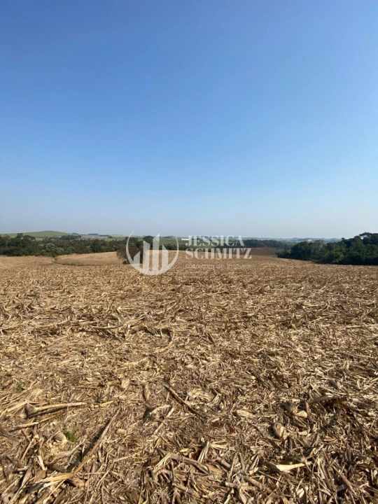 Terreno/Lote Rural para Venda - Dois Vizinhos, Comunidade Santa Terezinha - REF: 39 Imagem da galeria de fotos: Terreno/Lote Rural para Venda - Dois Vizinhos, Comunidade Santa Terezinha - REF: 39