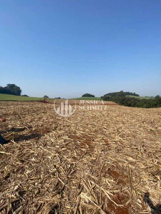 Terreno/Lote Rural para Venda - Dois Vizinhos, Comunidade Santa Terezinha - REF: 39 Imagem da galeria de fotos: Terreno/Lote Rural para Venda - Dois Vizinhos, Comunidade Santa Terezinha - REF: 39