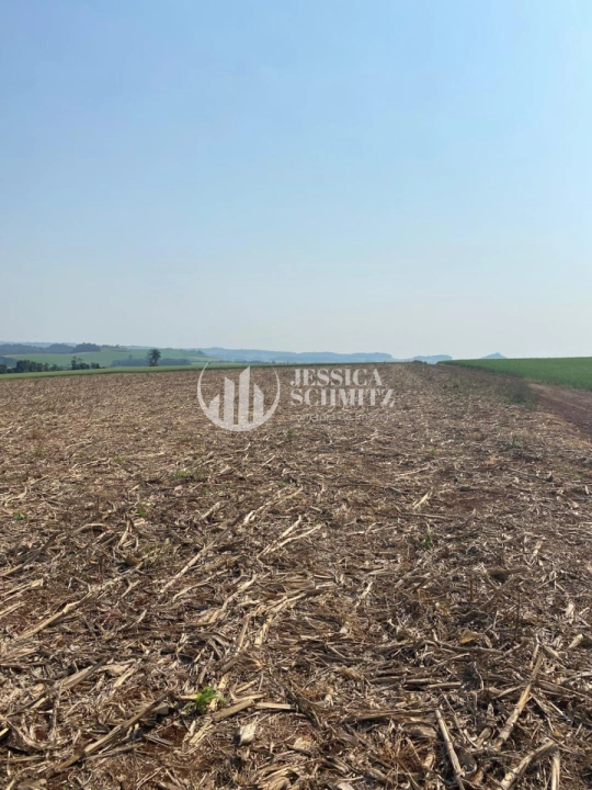 Terreno/Lote Rural para Venda - Dois Vizinhos, Comunidade Santa Terezinha - REF: 39 Imagem da galeria de fotos: Terreno/Lote Rural para Venda - Dois Vizinhos, Comunidade Santa Terezinha - REF: 39