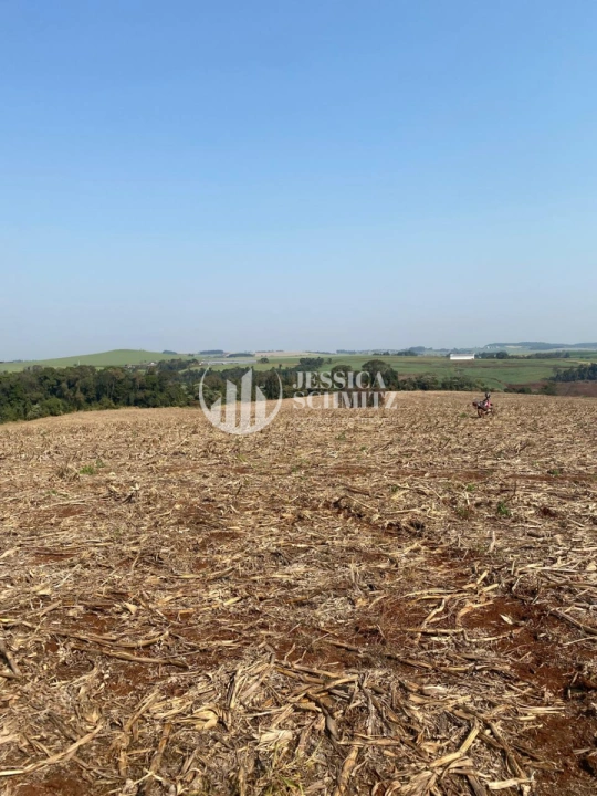 Terreno/Lote Rural para Venda - Dois Vizinhos, Comunidade Santa Terezinha - REF: 39 Imagem da galeria de fotos: Terreno/Lote Rural para Venda - Dois Vizinhos, Comunidade Santa Terezinha - REF: 39