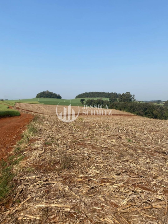 Terreno/Lote Rural para Venda - Dois Vizinhos, Comunidade Santa Terezinha - REF: 39 Imagem da galeria de fotos: Terreno/Lote Rural para Venda - Dois Vizinhos, Comunidade Santa Terezinha - REF: 39