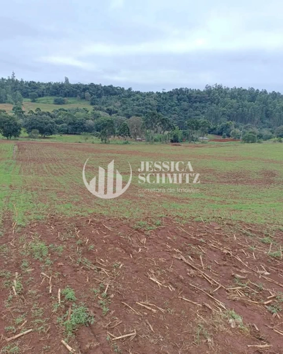 Imagem da galeria de fotos: Sítio Rural para Venda - Enéas Marques, Comunidade Arroio Empossado - REF: 42