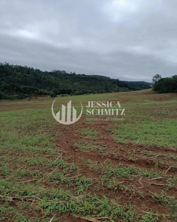 Imagem da galeria de fotos: Sítio Rural para Venda - Enéas Marques, Comunidade Arroio Empossado - REF: 42