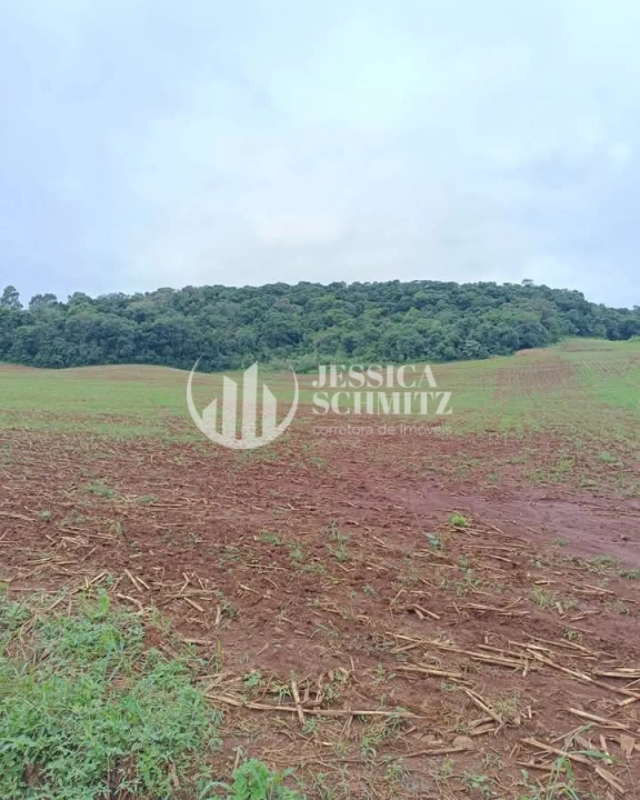 Imagem da galeria de fotos: Sítio Rural para Venda - Enéas Marques, Comunidade Arroio Empossado - REF: 42