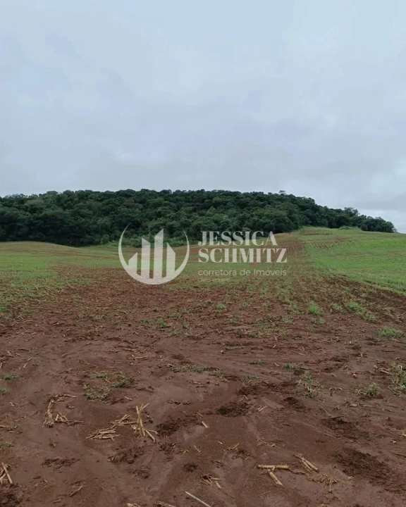 Imagem da galeria de fotos: Sítio Rural para Venda - Enéas Marques, Comunidade Arroio Empossado - REF: 42
