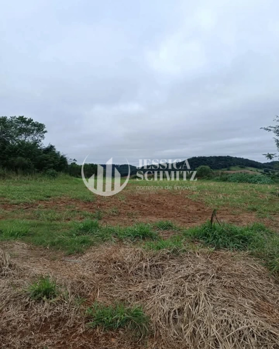 Imagem da galeria de fotos: Sítio Rural para Venda - Enéas Marques, Comunidade Arroio Empossado - REF: 42