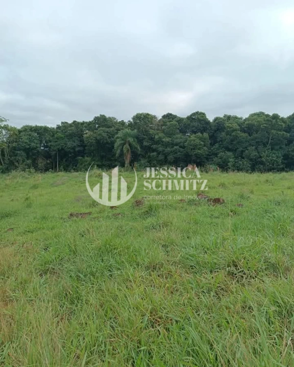 Imagem da galeria de fotos: Sítio Rural para Venda - Enéas Marques, Comunidade Arroio Empossado - REF: 42