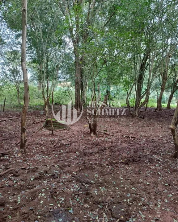 Imagem da galeria de fotos: Sítio Rural para Venda - Enéas Marques, Comunidade Arroio Empossado - REF: 42