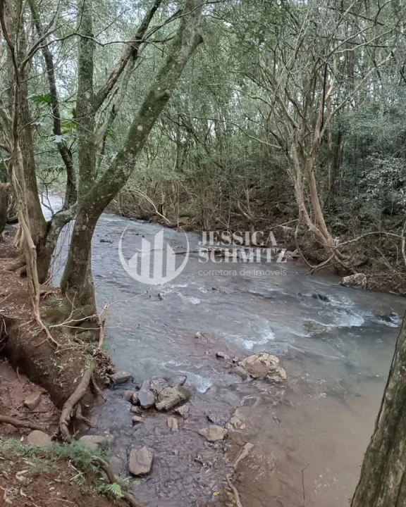 Imagem da galeria de fotos: Sítio Rural para Venda - Enéas Marques, Comunidade Arroio Empossado - REF: 42