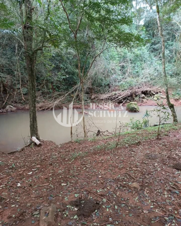 Imagem da galeria de fotos: Sítio Rural para Venda - Enéas Marques, Comunidade Arroio Empossado - REF: 42