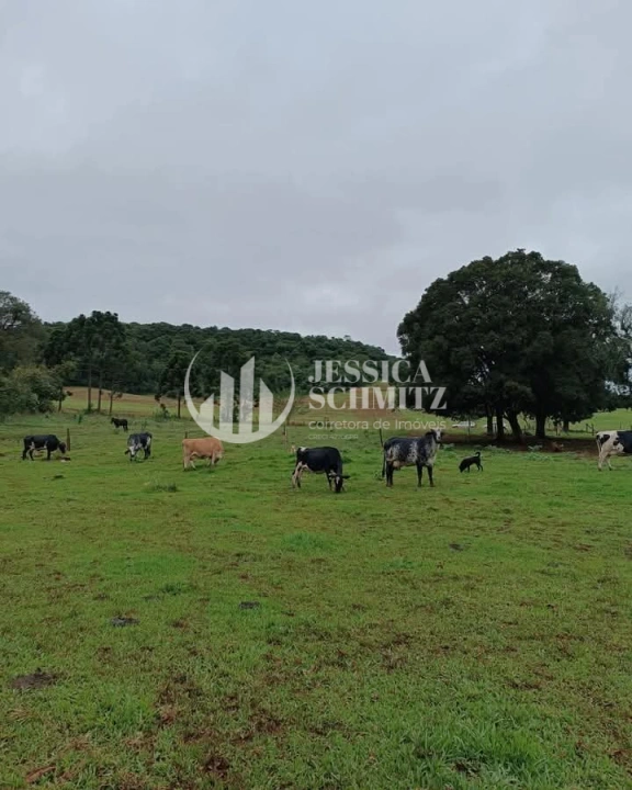 Imagem da galeria de fotos: Sítio Rural para Venda - Enéas Marques, Comunidade Arroio Empossado - REF: 42