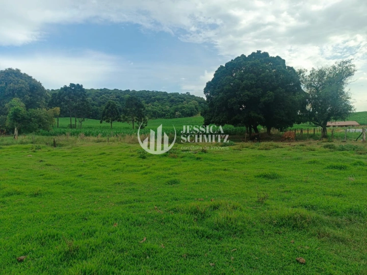 Sítio Rural para Venda - Enéas Marques, Comunidade Arroio Empossado - REF: 2688 Imagem da galeria de fotos: Sítio Rural para Venda - Enéas Marques, Comunidade Arroio Empossado - REF: 2688