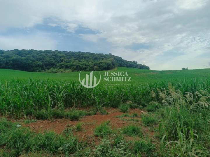 Sítio Rural para Venda - Enéas Marques, Comunidade Arroio Empossado - REF: 2688 Imagem da galeria de fotos: Sítio Rural para Venda - Enéas Marques, Comunidade Arroio Empossado - REF: 2688