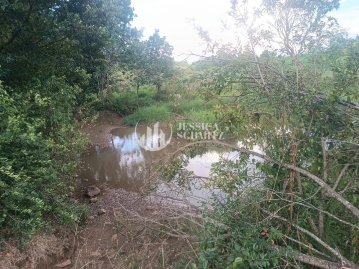 Sítio Rural para Venda - Enéas Marques, Comunidade Arroio Empossado - REF: 2688 Imagem da galeria de fotos: Sítio Rural para Venda - Enéas Marques, Comunidade Arroio Empossado - REF: 2688