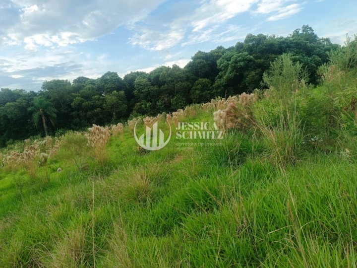 Sítio Rural para Venda - Enéas Marques, Comunidade Arroio Empossado - REF: 2688 Imagem da galeria de fotos: Sítio Rural para Venda - Enéas Marques, Comunidade Arroio Empossado - REF: 2688