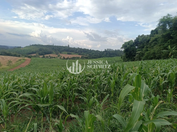 Sítio Rural para Venda - Enéas Marques, Comunidade Arroio Empossado - REF: 2688 Imagem da galeria de fotos: Sítio Rural para Venda - Enéas Marques, Comunidade Arroio Empossado - REF: 2688