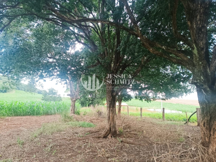 Sítio Rural para Venda - Enéas Marques, Comunidade Arroio Empossado - REF: 2688 Imagem da galeria de fotos: Sítio Rural para Venda - Enéas Marques, Comunidade Arroio Empossado - REF: 2688