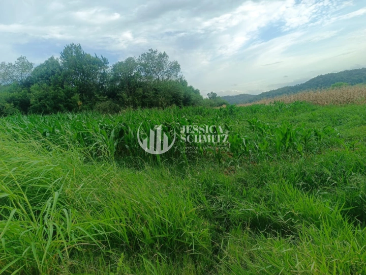 Sítio Rural para Venda - Enéas Marques, Comunidade Arroio Empossado - REF: 2688 Imagem da galeria de fotos: Sítio Rural para Venda - Enéas Marques, Comunidade Arroio Empossado - REF: 2688