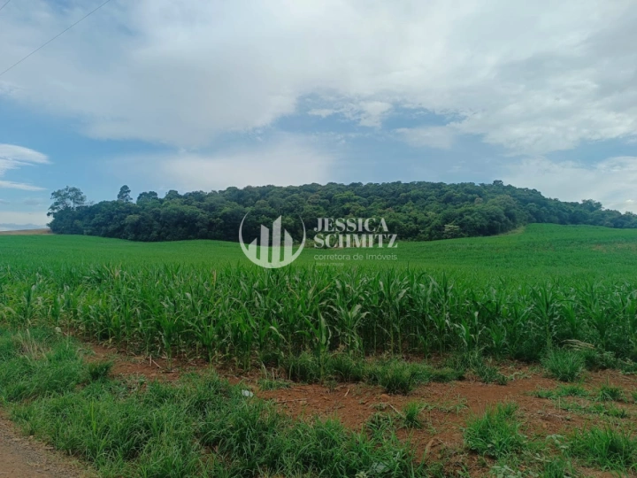 Sítio Rural para Venda - Enéas Marques, Comunidade Arroio Empossado - REF: 2688 Imagem da galeria de fotos: Sítio Rural para Venda - Enéas Marques, Comunidade Arroio Empossado - REF: 2688