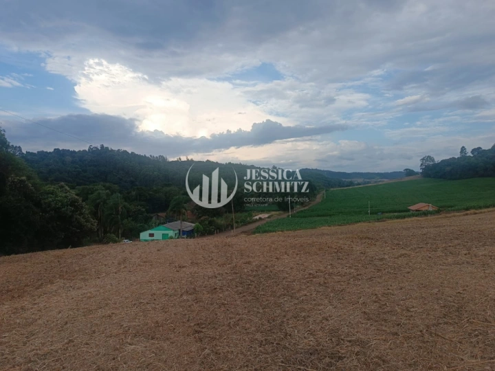 Sítio Rural para Venda - Enéas Marques, Comunidade Arroio Empossado - REF: 2688 Imagem da galeria de fotos: Sítio Rural para Venda - Enéas Marques, Comunidade Arroio Empossado - REF: 2688