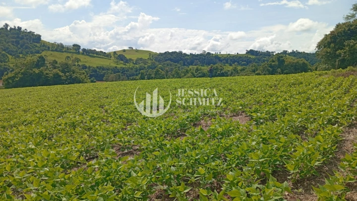 Chácara Rural para Venda - Dois Vizinhos, Comunidade Flor da Serra - REF: 2690 Imagem da galeria de fotos: Chácara Rural para Venda - Dois Vizinhos, Comunidade Flor da Serra - REF: 2690