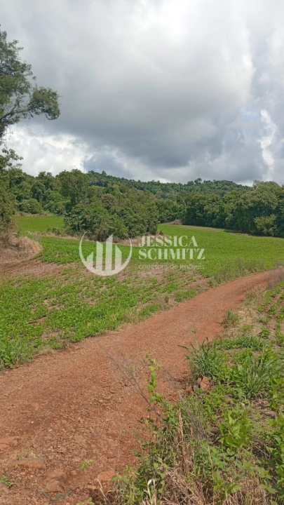 Chácara Rural para Venda - Dois Vizinhos, Comunidade Flor da Serra - REF: 2690 Imagem da galeria de fotos: Chácara Rural para Venda - Dois Vizinhos, Comunidade Flor da Serra - REF: 2690