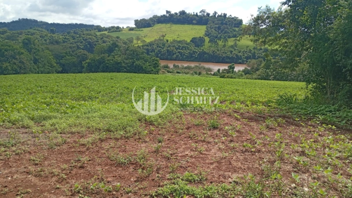 Chácara Rural para Venda - Dois Vizinhos, Comunidade Flor da Serra - REF: 2690 Imagem da galeria de fotos: Chácara Rural para Venda - Dois Vizinhos, Comunidade Flor da Serra - REF: 2690
