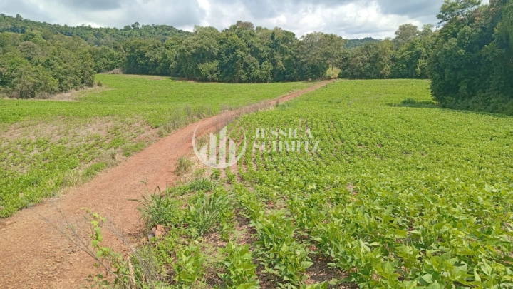 Chácara Rural para Venda - Dois Vizinhos, Comunidade Flor da Serra - REF: 2690 Imagem da galeria de fotos: Chácara Rural para Venda - Dois Vizinhos, Comunidade Flor da Serra - REF: 2690