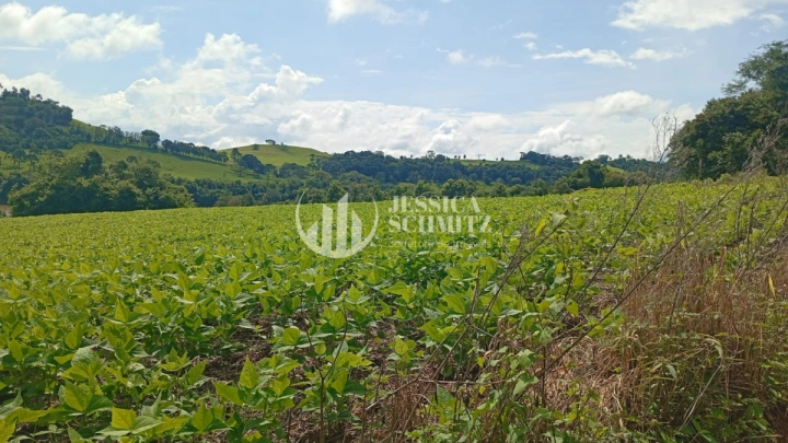 Chácara Rural para Venda - Dois Vizinhos, Comunidade Flor da Serra - REF: 2690 Imagem da galeria de fotos: Chácara Rural para Venda - Dois Vizinhos, Comunidade Flor da Serra - REF: 2690