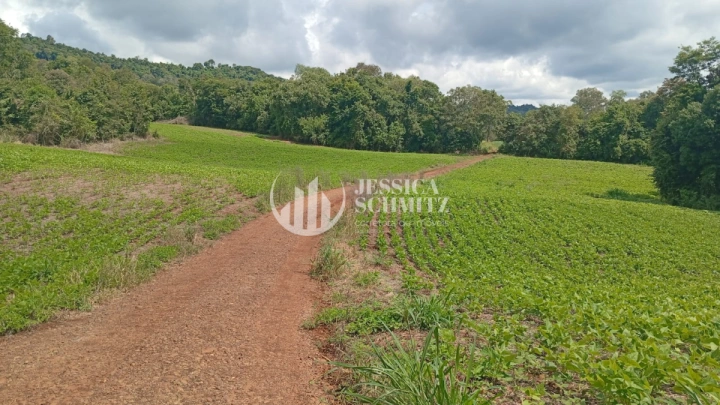 Chácara Rural para Venda - Dois Vizinhos, Comunidade Flor da Serra - REF: 2690 Imagem da galeria de fotos: Chácara Rural para Venda - Dois Vizinhos, Comunidade Flor da Serra - REF: 2690