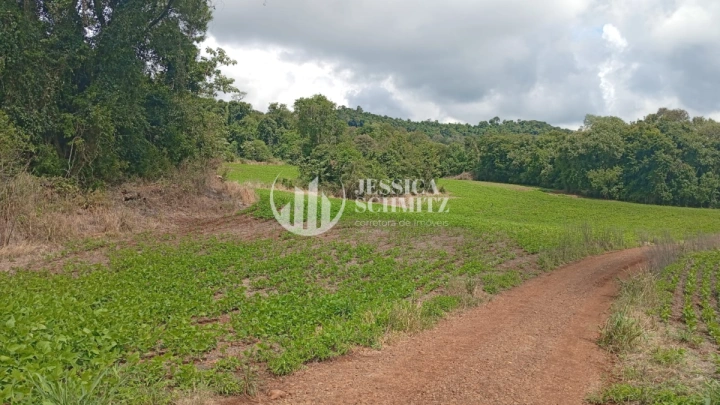 Chácara Rural para Venda - Dois Vizinhos, Comunidade Flor da Serra - REF: 2690 Imagem da galeria de fotos: Chácara Rural para Venda - Dois Vizinhos, Comunidade Flor da Serra - REF: 2690