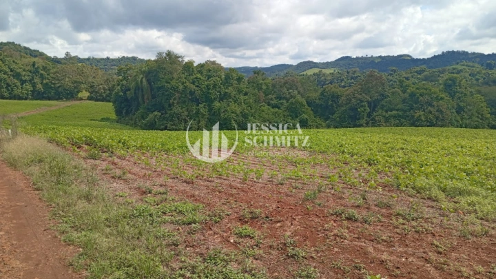 Chácara Rural para Venda - Dois Vizinhos, Comunidade Flor da Serra - REF: 2690 Imagem da galeria de fotos: Chácara Rural para Venda - Dois Vizinhos, Comunidade Flor da Serra - REF: 2690