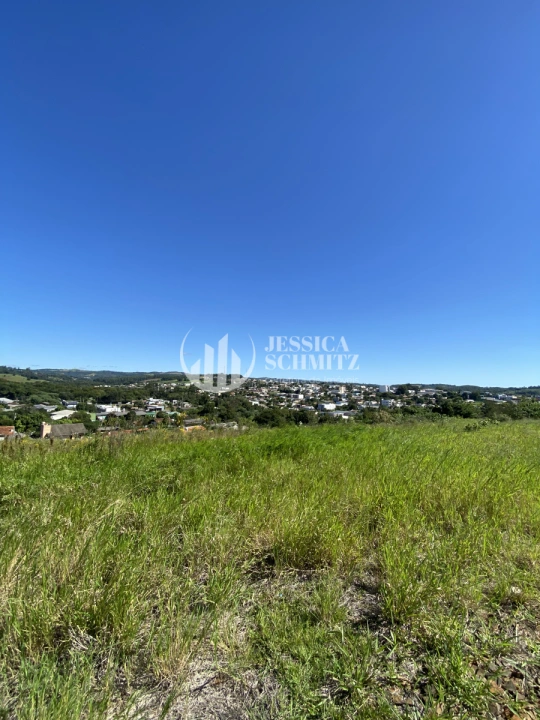 Imagem da galeria de fotos: Terreno/Lote Residencial para Venda - Santo Antônio do Sudoeste, Loteamento Pastore - REF: 2692